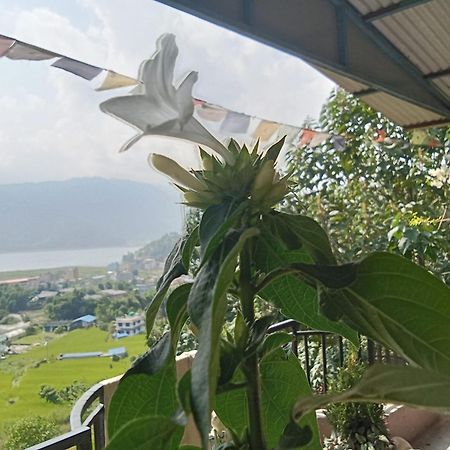Gautam Garden Guest House Pokhara Zewnętrze zdjęcie