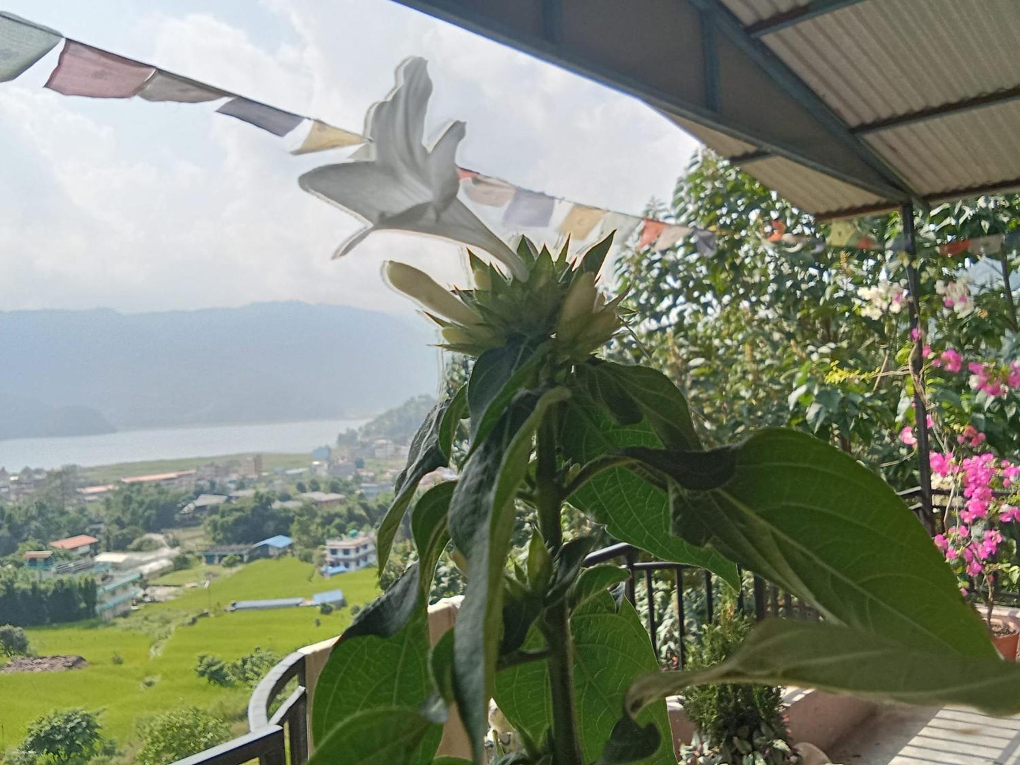 Gautam Garden Guest House Pokhara Zewnętrze zdjęcie