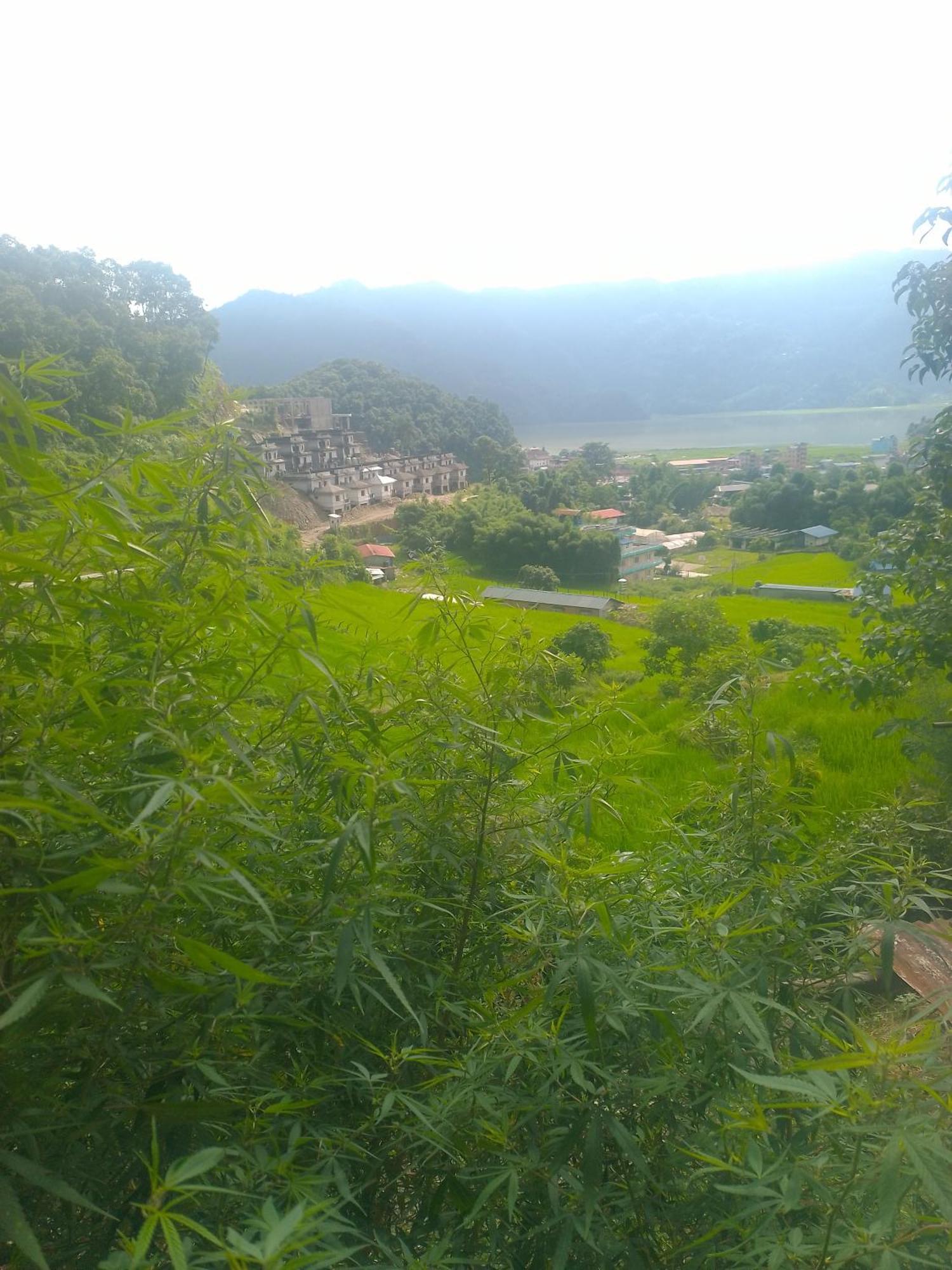 Gautam Garden Guest House Pokhara Zewnętrze zdjęcie